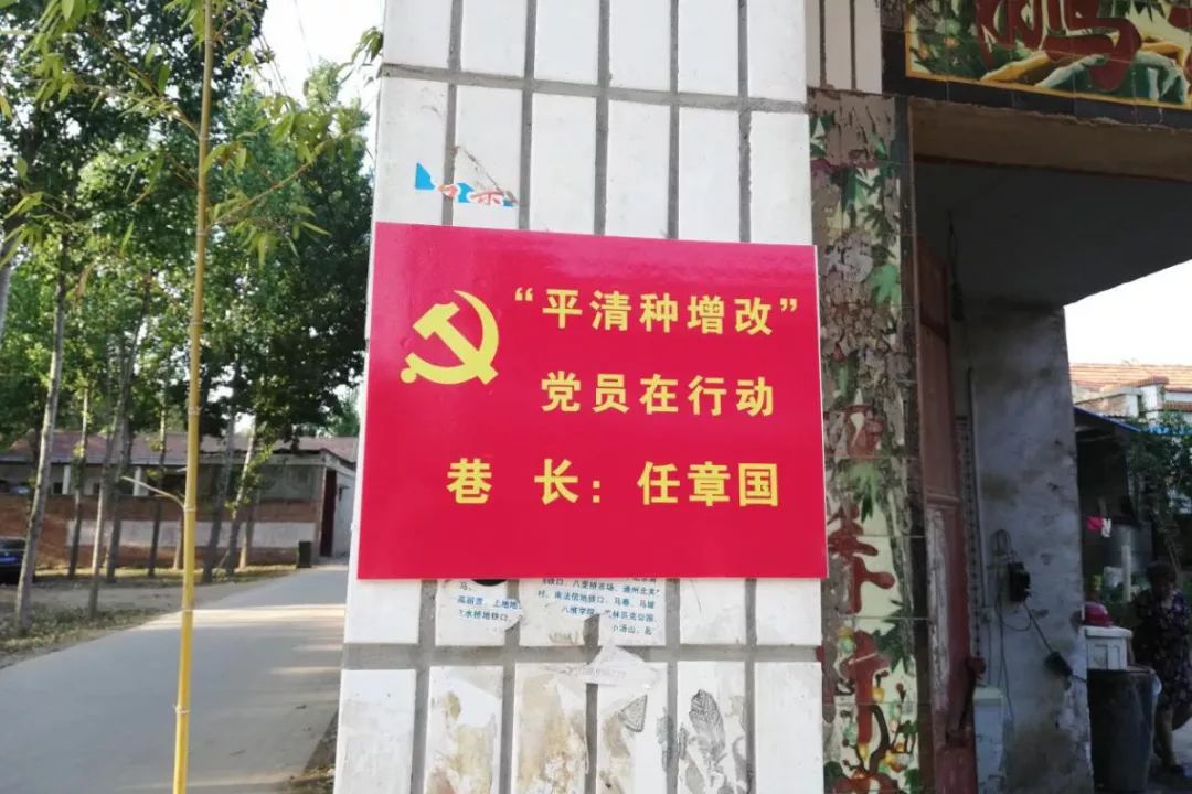 莘县王奉镇南滩村:“撬动”集体土地最大效应,持续壮大村集体收入! E世博esball