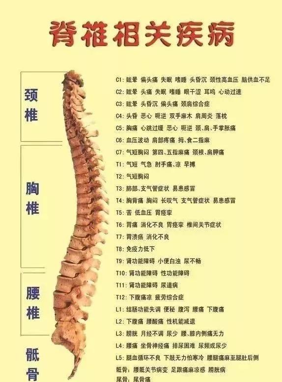 脊椎小关节错位可能直接导致的病征有如下列: 一, 颈椎错位:可能导致