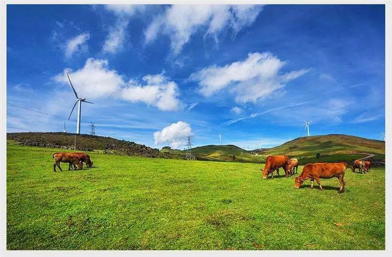 10万亩的舍得草场,位于云南文山州丘北县舍得村的一个草原风景区,被