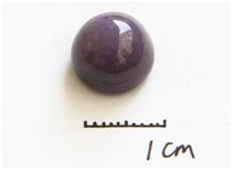 �˹��ϳ����������?��ɵ��,�������ĳɱ��Ȳ����ֻ���!