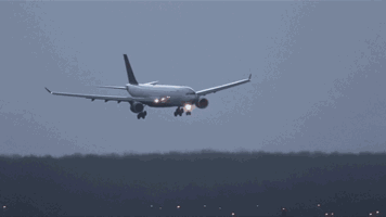 81480307010f4737b87339d0577c286d.gif