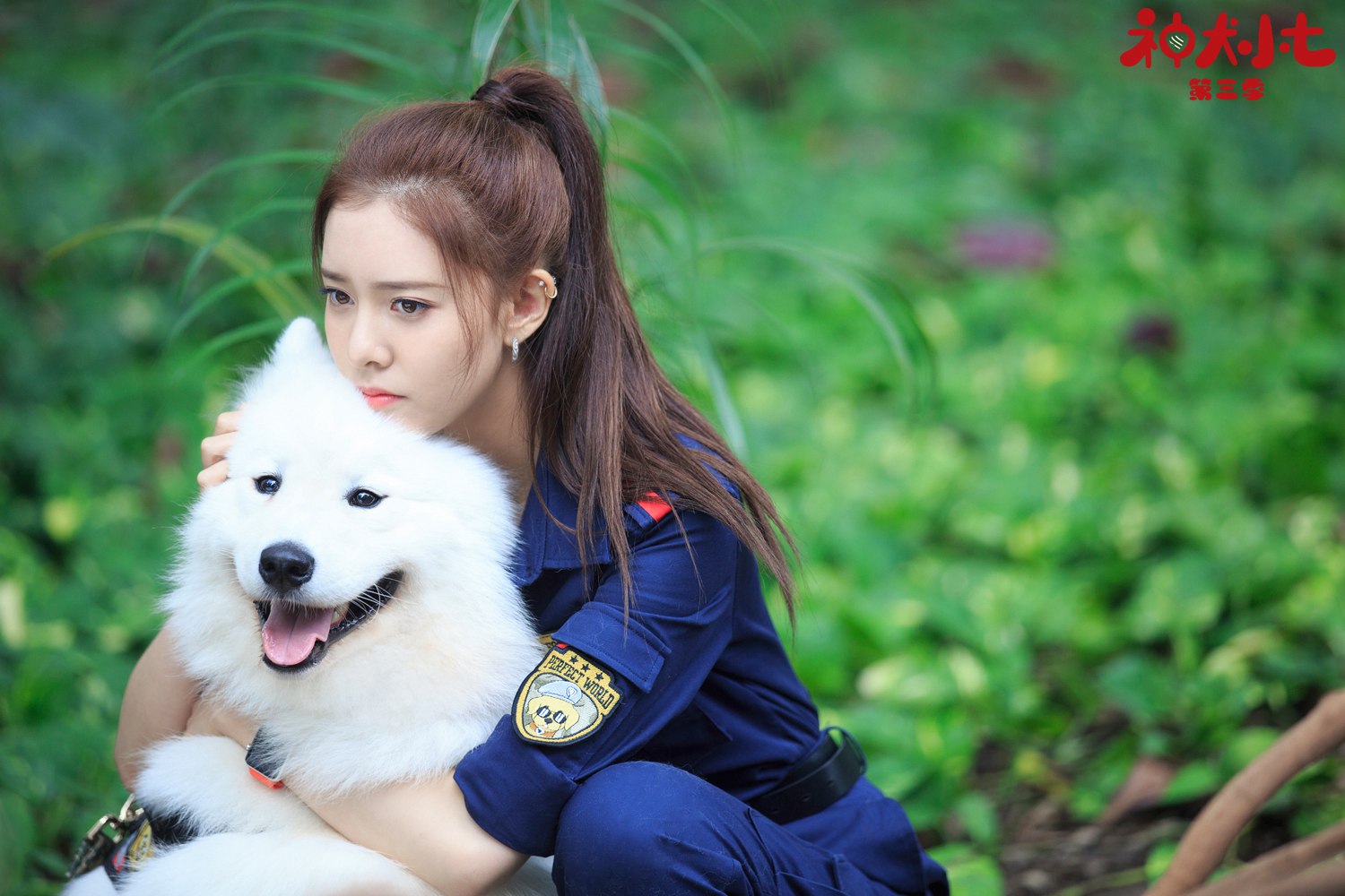 宋妍霏神犬小七3进阶搜救精英完美嫁接硬糖印象