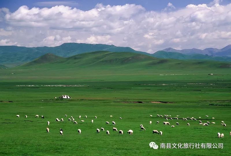 【恋上茶卡】青海湖,茶卡盐湖,拉卜楞寺,塔尔寺,甘加草原,金银滩草原