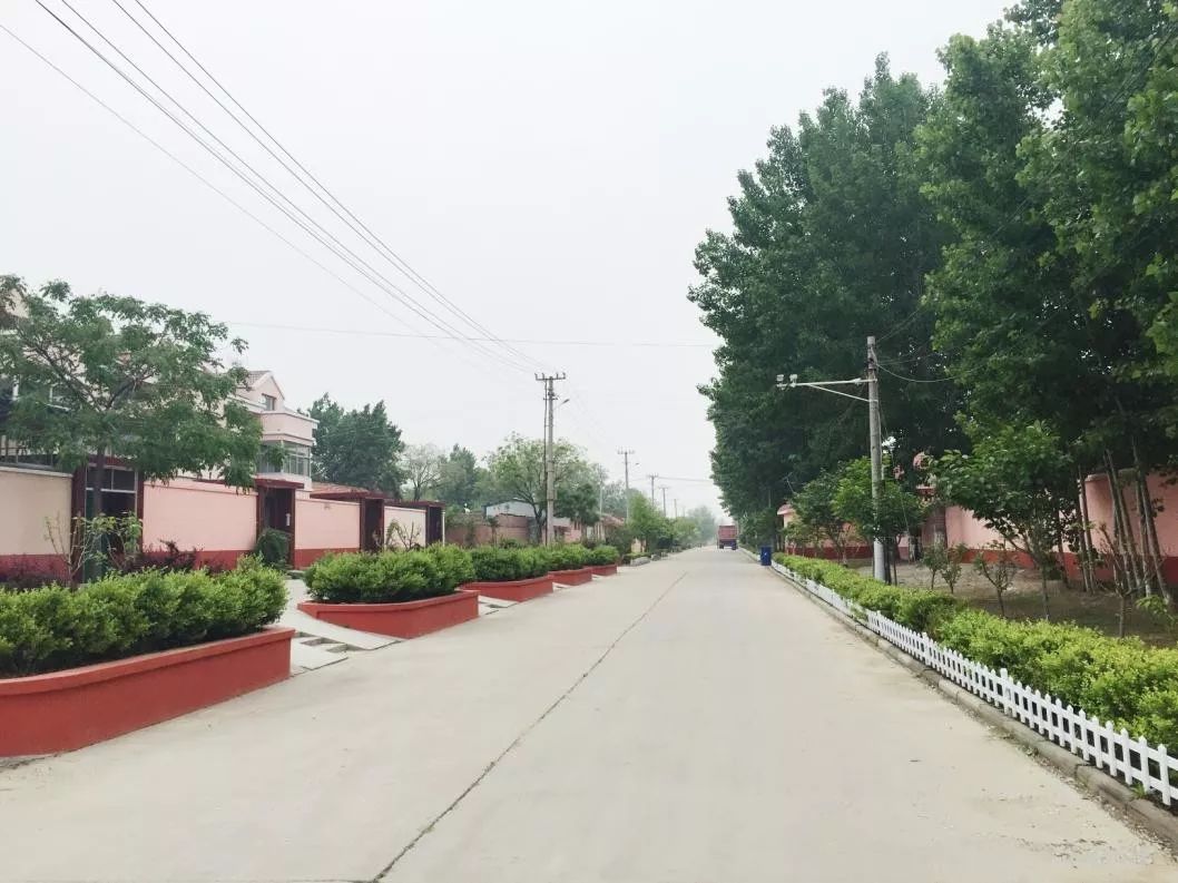 臧村乡人口_应县臧寨乡王为