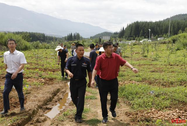 四川航空与西昌市政府签署战略合作框架协议 胜博发123手机版官网