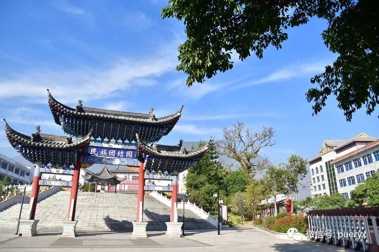 地点:云南省普洱市宁洱县(古普洱府城),茶源广场,困鹿山皇家古茶园