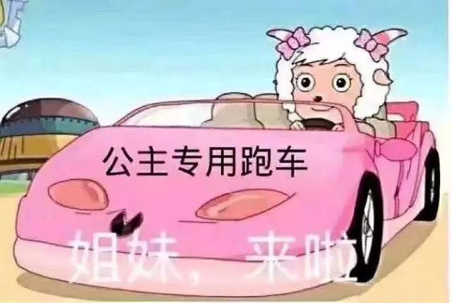 哈市周末去哪玩?音乐节&家具展了解一下?