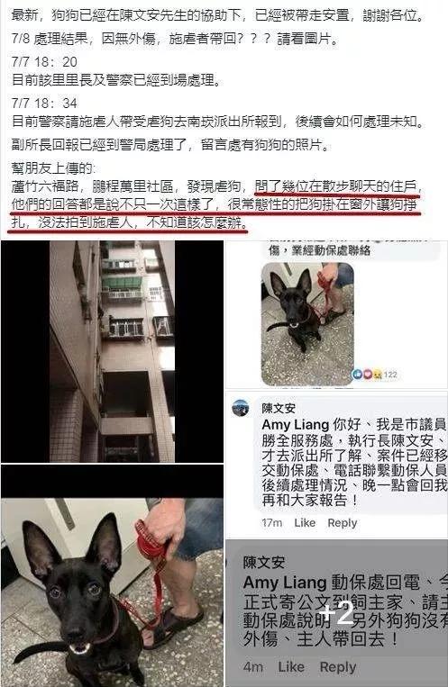 男子半夜打死自家狗，聲稱：不小心下手過重，自己還流淚了 寵物 第10張