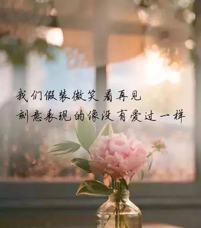 心灵鸡汤经典语录励志,经典句子句句穿心!