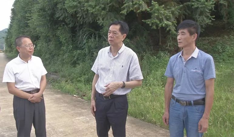 新 闻 导 读 7月24日,市委副书记黄建平深入沙县夏茂镇,实地调研乡村