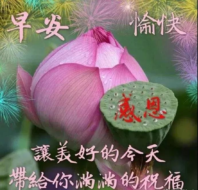 早晨好阳光祝福语表情包 早晨好问候语图片大全