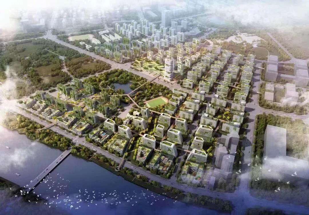 下车门区块100签约义乌首轮三年城市有机更新完美收官