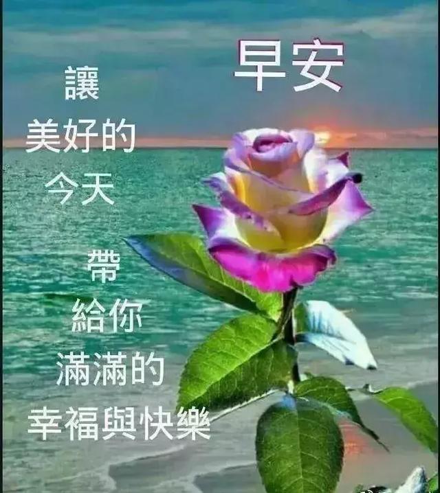 不论缘深或缘浅,你我都应珍惜,好人一生平安,早安