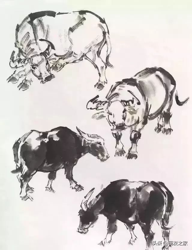 国画牛的绘画技巧图文详解