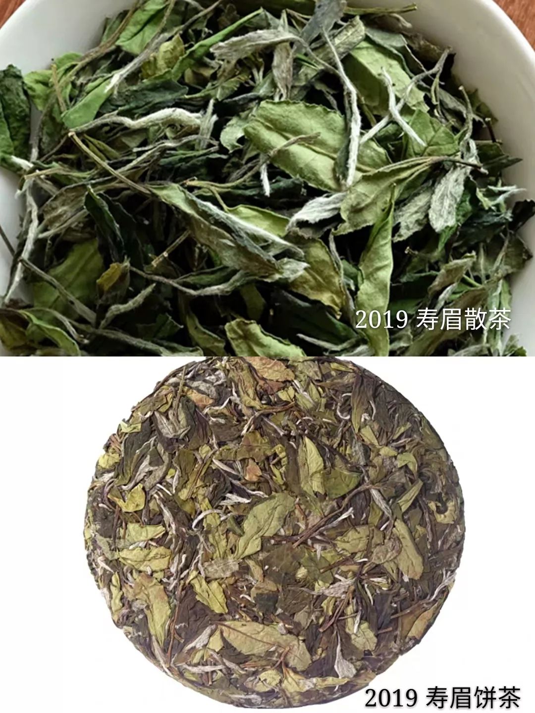 福鼎白茶散茶和饼茶该如何选择二者有何区别从这四点为你讲解