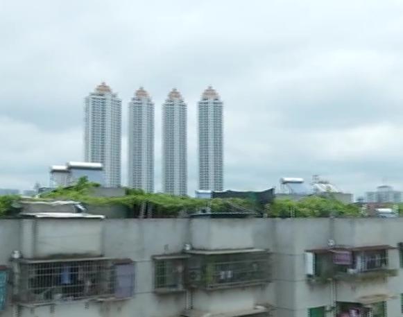 住宅楼楼顶变“空中农场”,一栋楼清理出100只鸡,还有更夸张的 太阳城娱乐网88