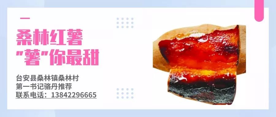 “第一书记大集产品进入采摘季 秀甲鲜桃率先上市 10bet洲博彩公司