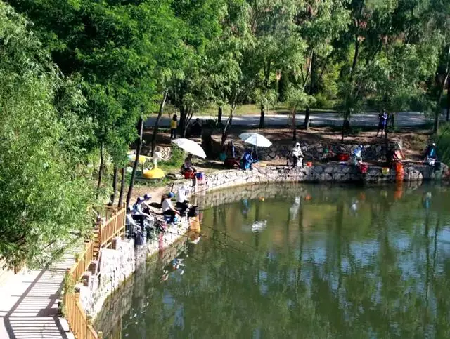 位于高平市东北部陈区镇舍利山下的卧龙湾是一家集康养,餐饮,住宿