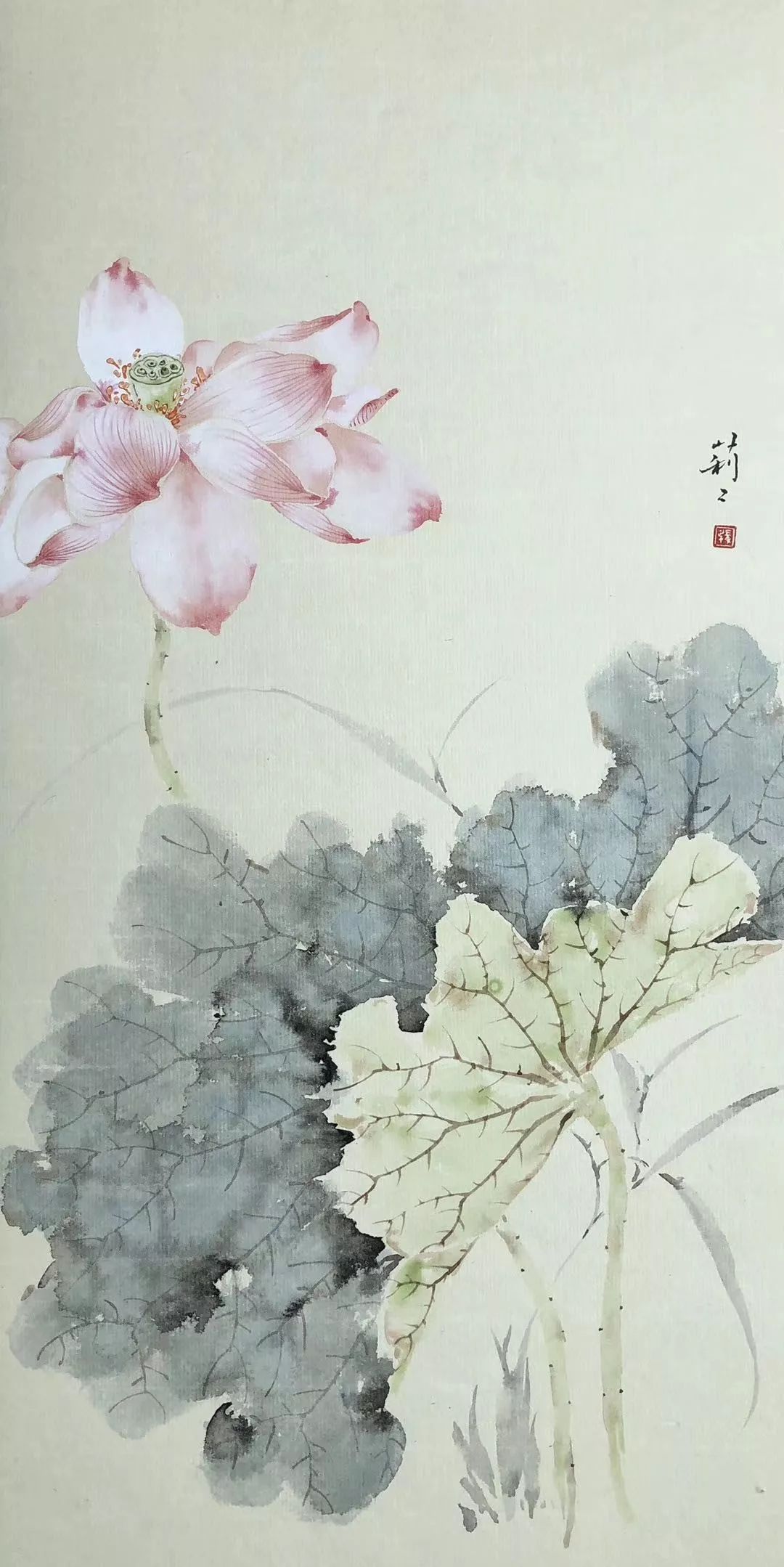 张莉莉|没骨花卉和果实网络班(8月30日开课)_作品