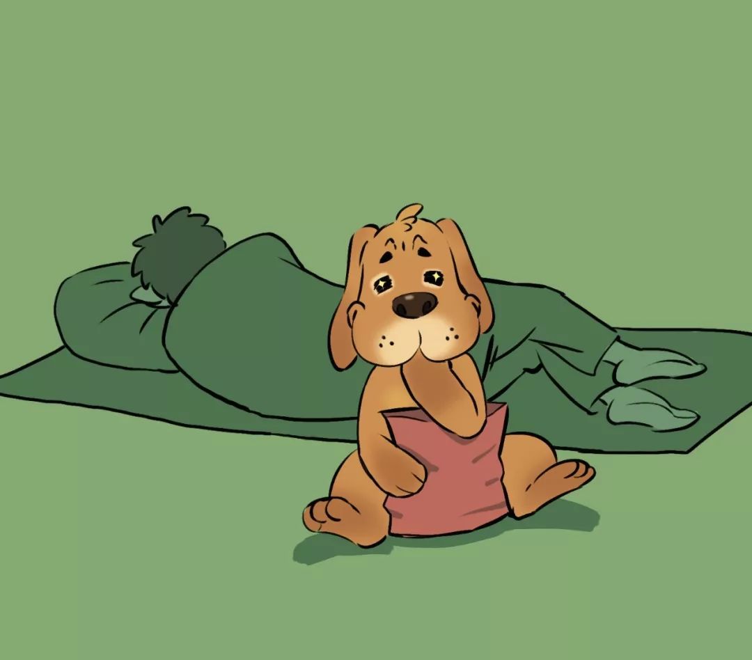 你睡着的时候,狗狗竟然做了这些令人喷饭的怪