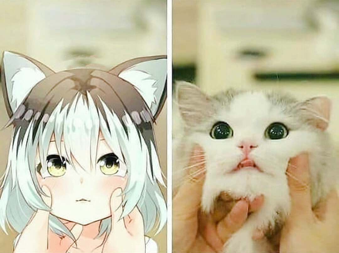 国外网友把猫猫拟人画出来,图1画风过于鬼畜,看到图4我恋爱了