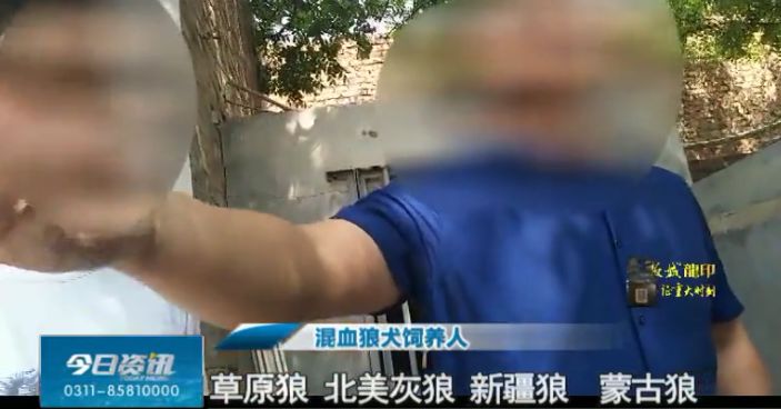 貌狼什么道成语(3)