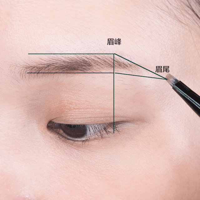 连接眉峰与眉尾,在眉尾的地方找到发际线边缘平行线,与刚刚的眉峰连接