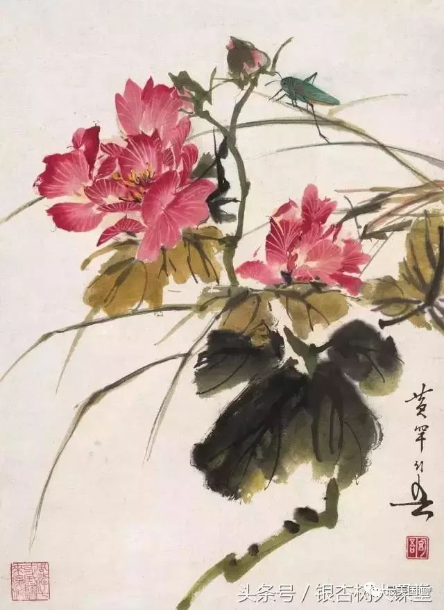 黄幻吾花鸟画100幅大赏