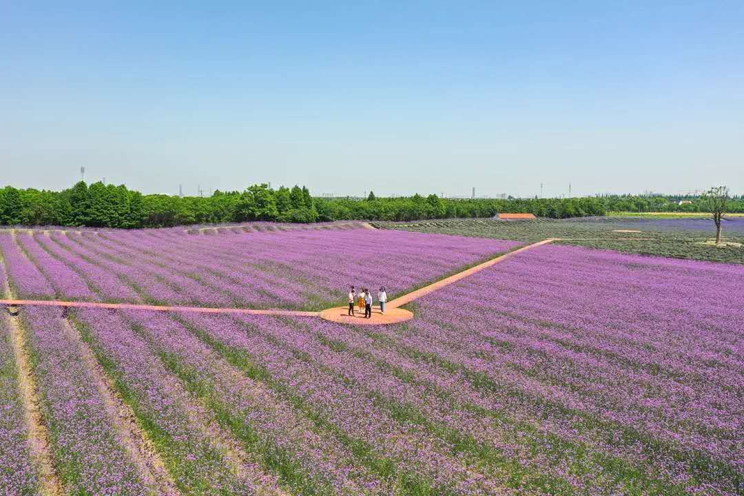 优质经验问题整改措施_优质问题及经验_经验的问题