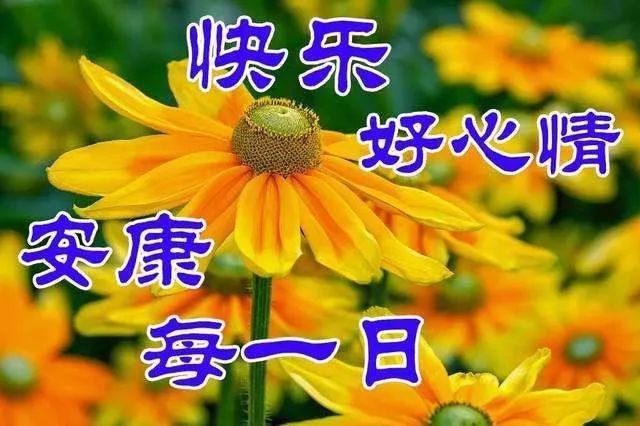 漂亮早安图片问候祝福语短信,早上好唯美动画祝福图片