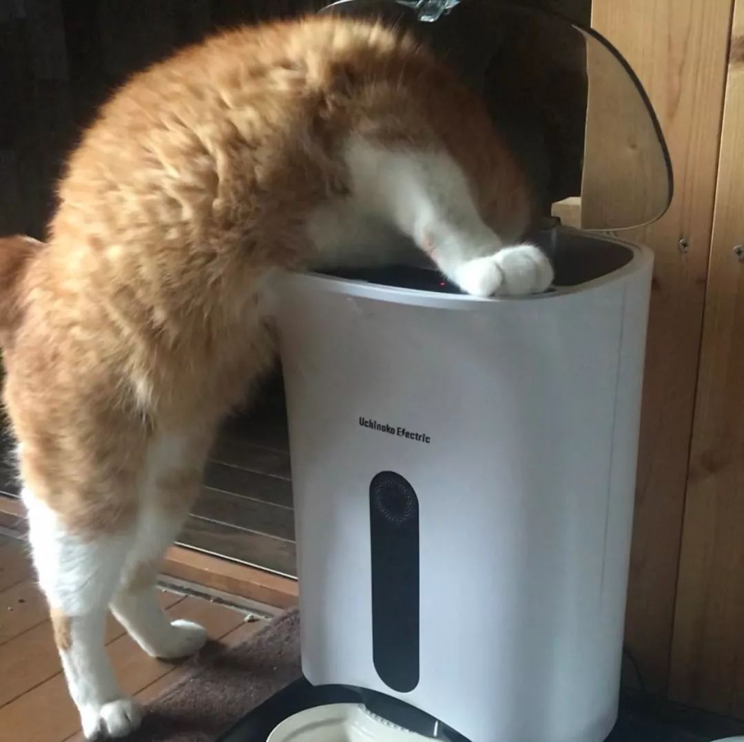 dee0027498aa4511b50ab3ddcbe58f90.jpeg