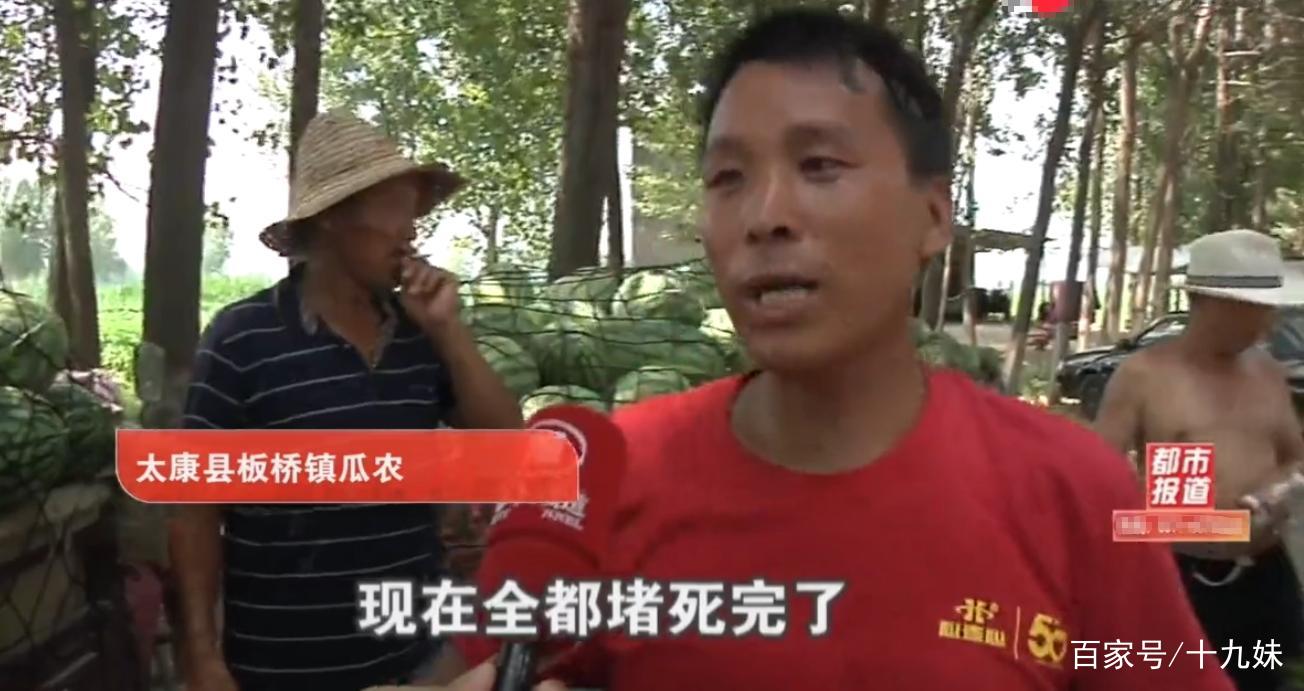 限高杆封死村民运输路,数十万斤西瓜2毛一斤运不出,瓜农干瞪眼 99真人官网