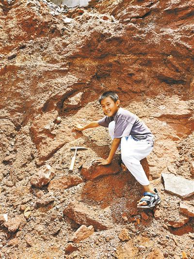 9岁小学生散步时发现恐龙化石