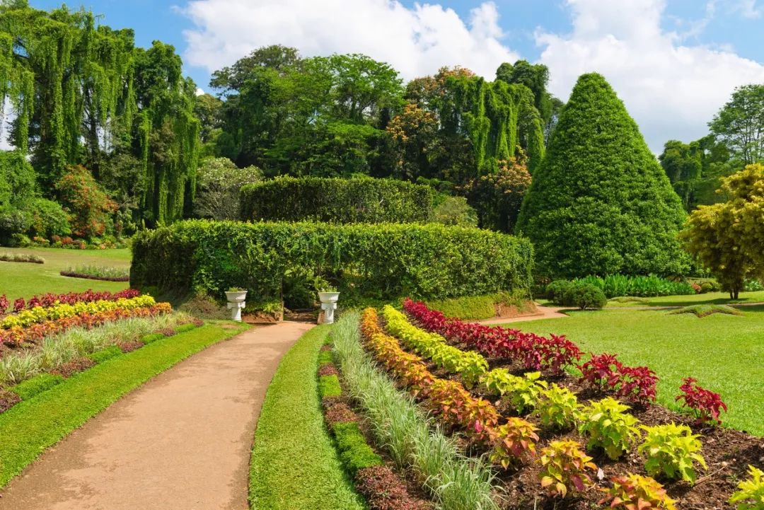 peradeniya royal botanical garden