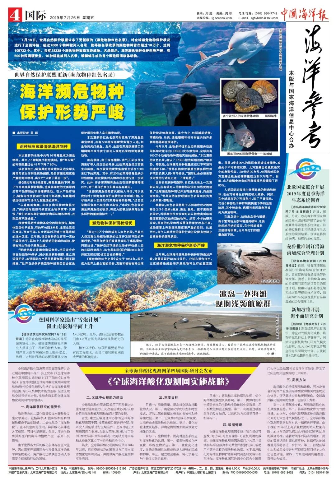 10种濒危的海洋生物_物种_海龟_哺乳动物