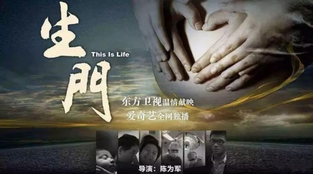 高圆圆宣布怀孕刘诗诗母子平安:妈妈到底有多