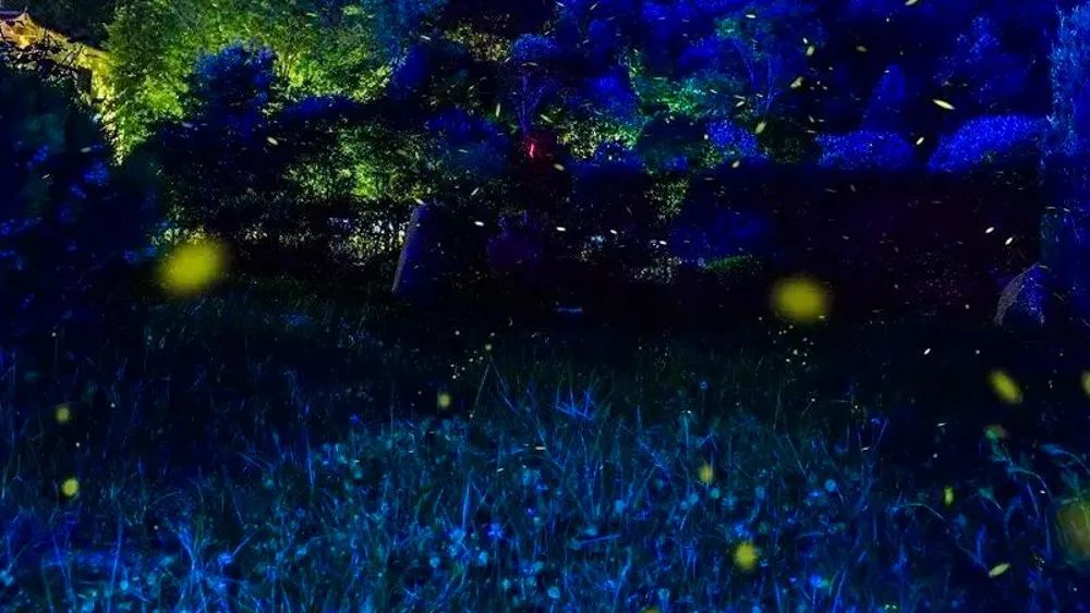 峡谷的玻璃天桥 也不是飞瀑成群的清凉世界 而是 仲夏之夜的漫天流萤