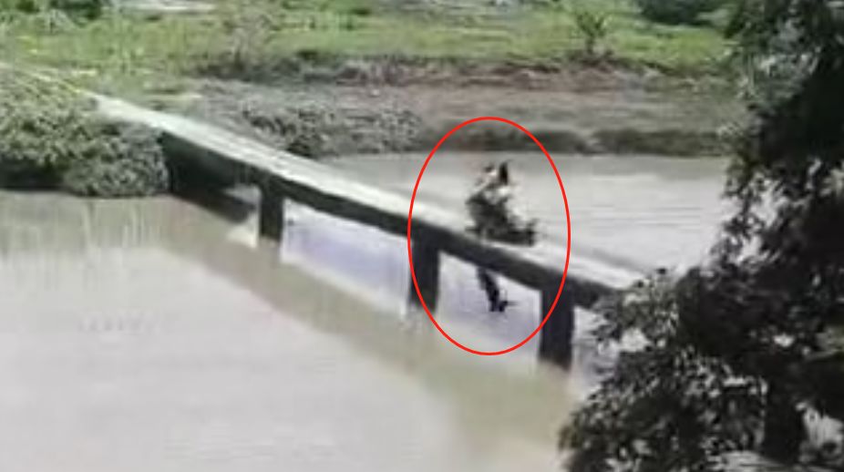 请专家解梦，梦到儿子从桥上摔下，我抱着他，血顺臂流淌