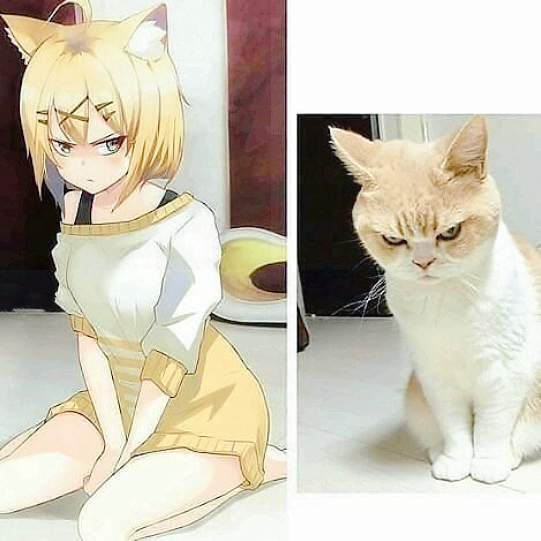 国外网友把猫猫拟人画出来图1画风过于鬼畜看到图4我恋爱了