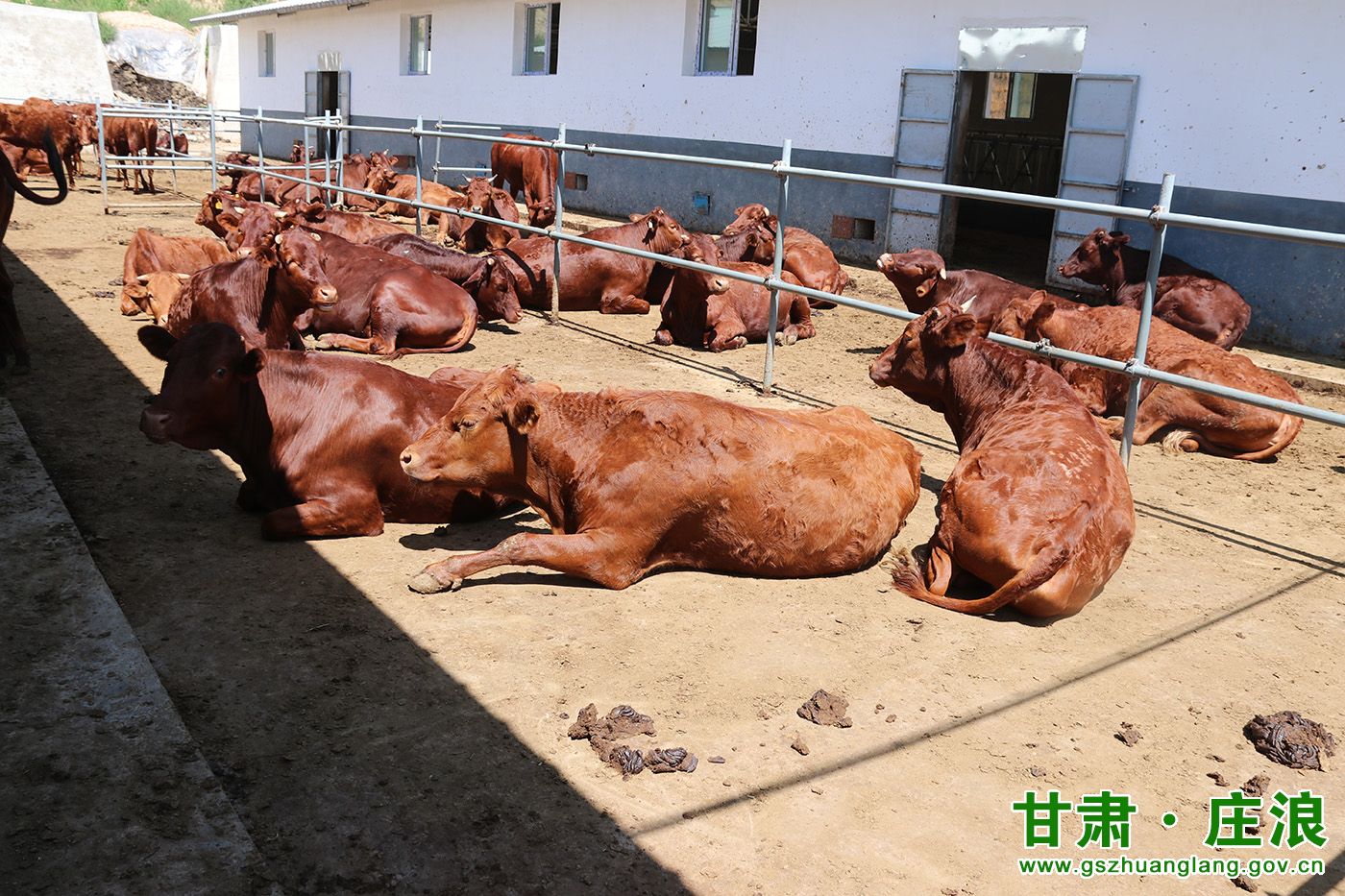 赵墩乡万亩梯田果园标准化管理基地编辑:柳君平 审核:吴君铭返回搜狐