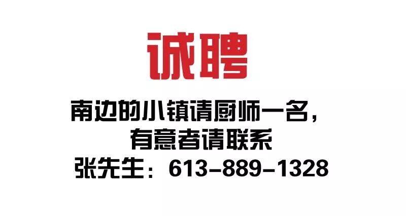 小镇招聘信息_直播招聘 探 现场,2020信息港小镇秋季人才招聘会来了, 速来报名