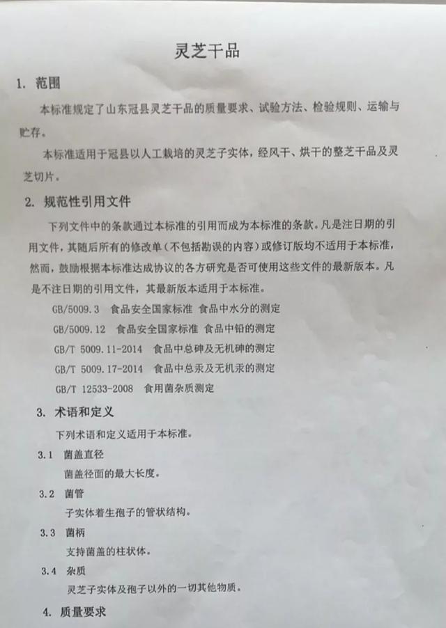 盛夏7月,冠县“店子灵芝”喜迎丰收季