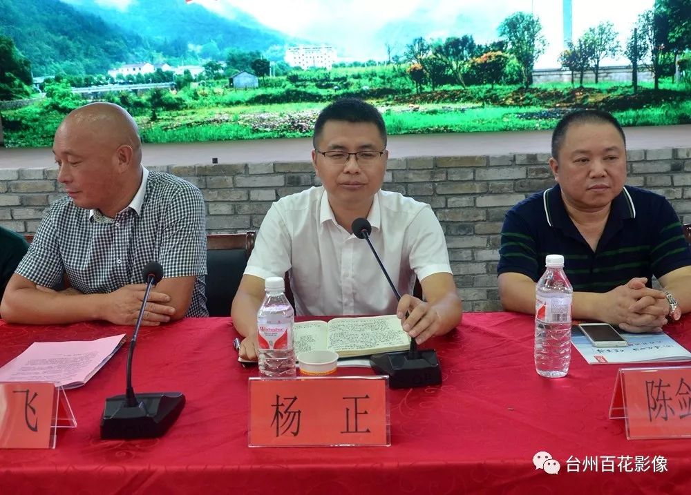 乡党委书记杨正发言