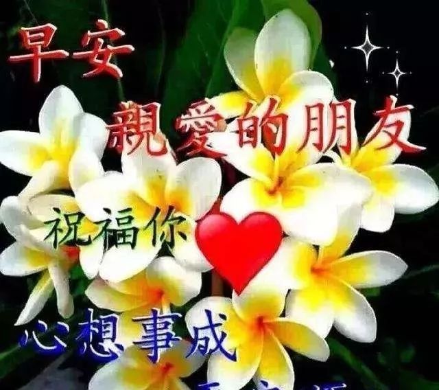 漂亮早安图片问候祝福语短信,早上好唯美动画祝福图片