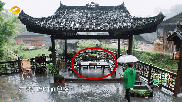 都在骂秦海璐情商低，殊不知，真人秀节目早已成为真人“秀”了