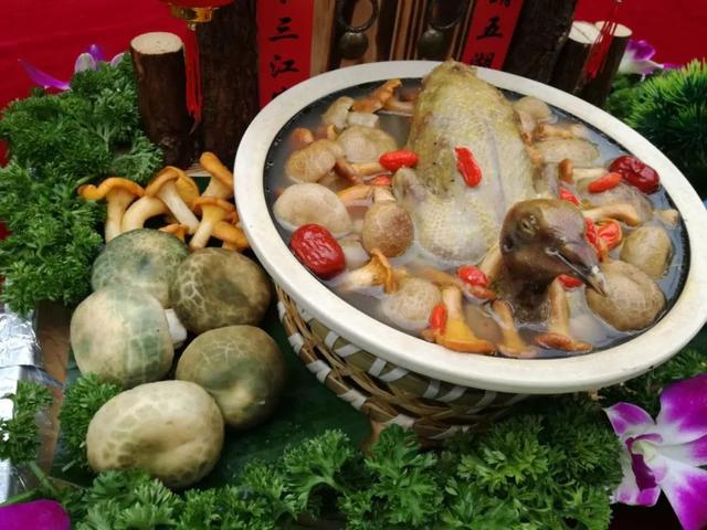 中国·南华野生菌美食文化节主要活动内容曝光