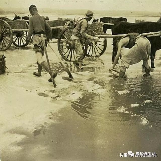 锡盟老照片,1939年锡林郭勒盟额吉淖尔盐湖采盐_运盐