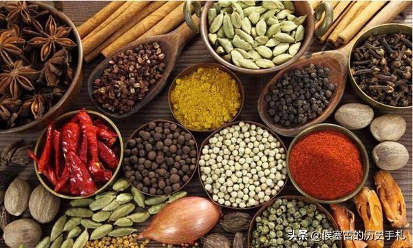 同为开辟新航路,为何葡萄牙全球殖民,郑和却与