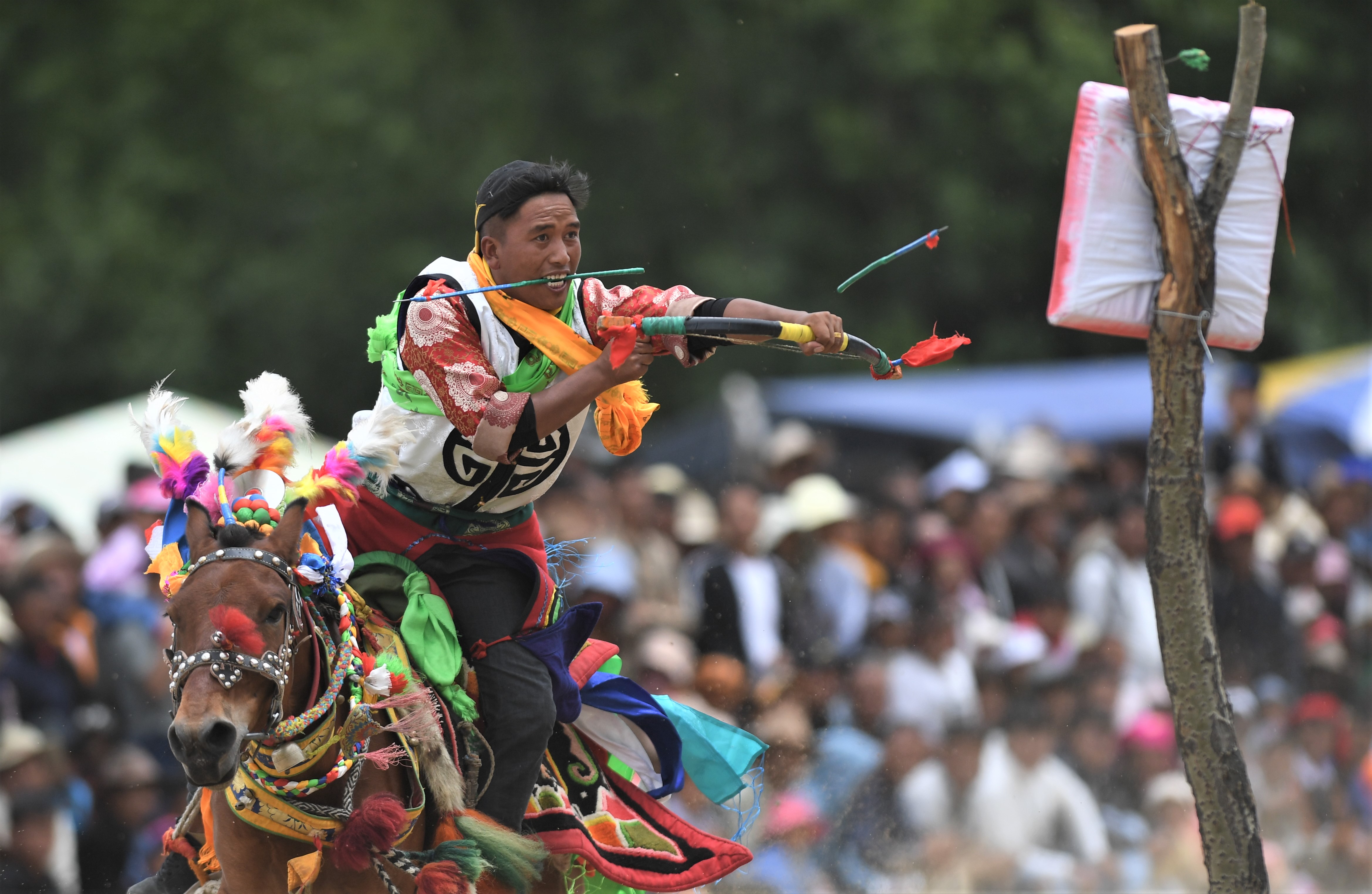 欢度望果节西藏曲水举行传统马术表演