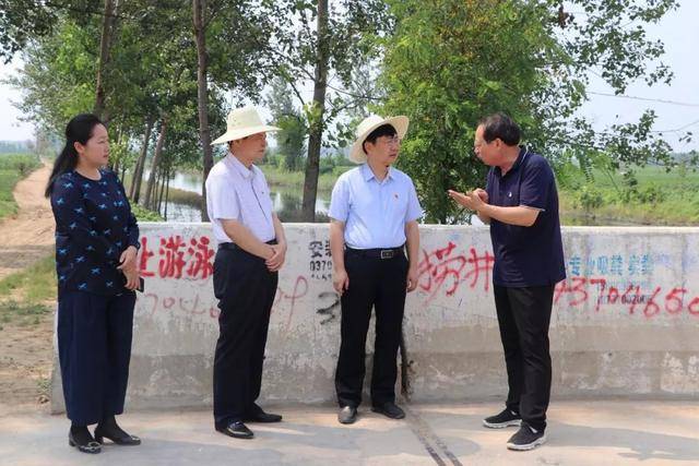 市委常委,组织部长,大沙河市级河长罗军到大沙河宁陵段巡河调研